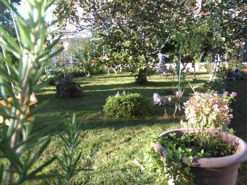 Apartments Lana ستاريغغاد باكلينتسا المظهر الخارجي الصورة